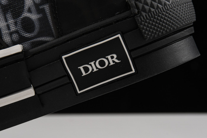 D*or b23 homme kaws low top sneaker